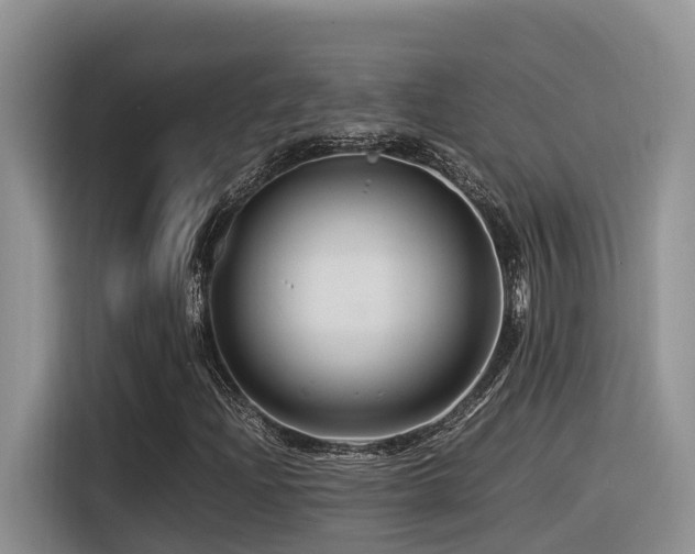 X0000116371204200912021146