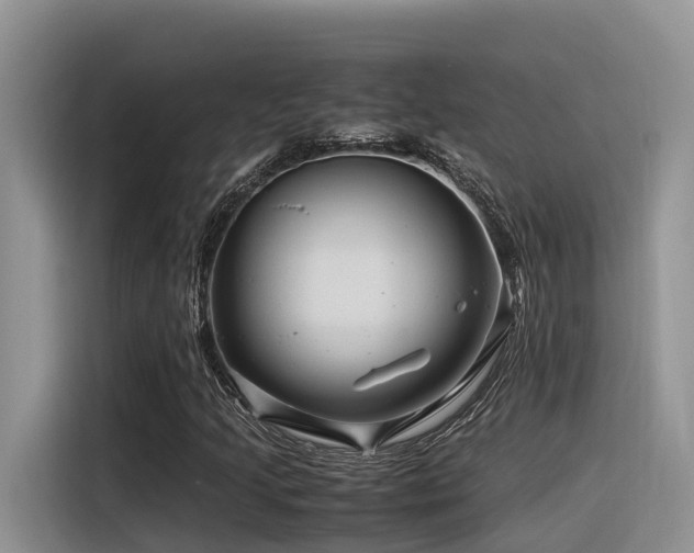 X0000116371205200912021146