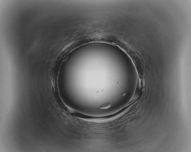 X0000116371206200912021146