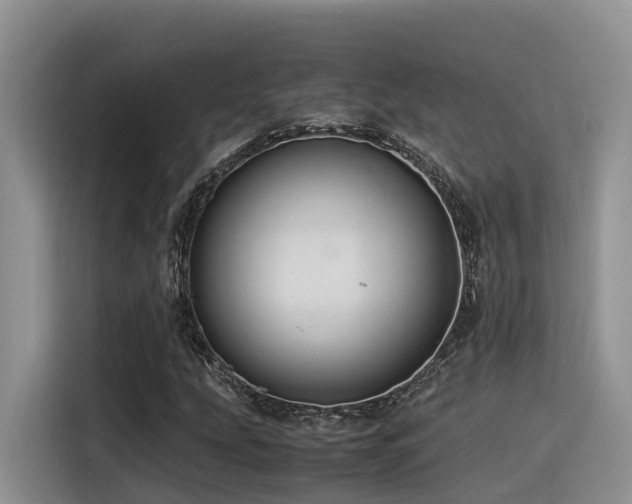 X0000116371207200912021146