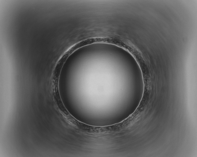 X0000116371208200912021146