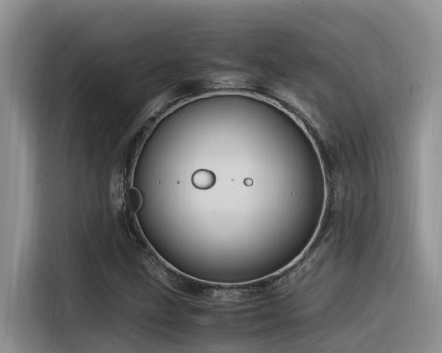 X0000116371211200912021146