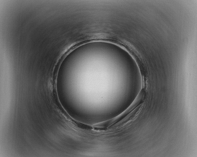 X0000116371212200912021147