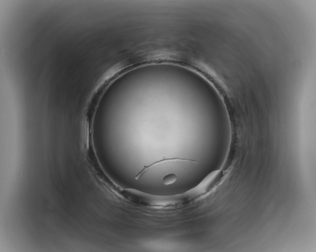 X0000116371219200912021147