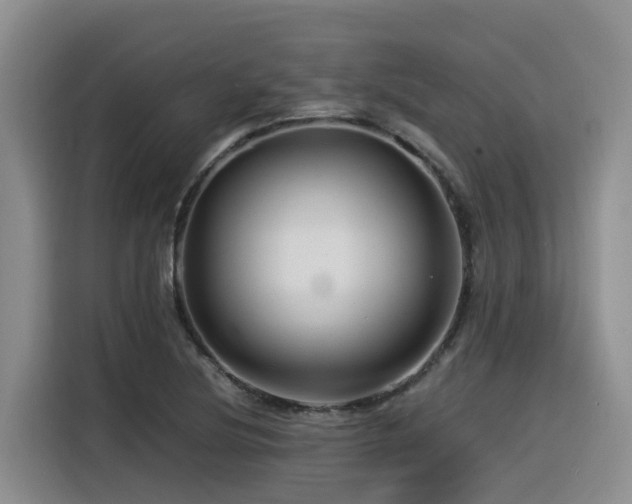 X0000116371220200912021147