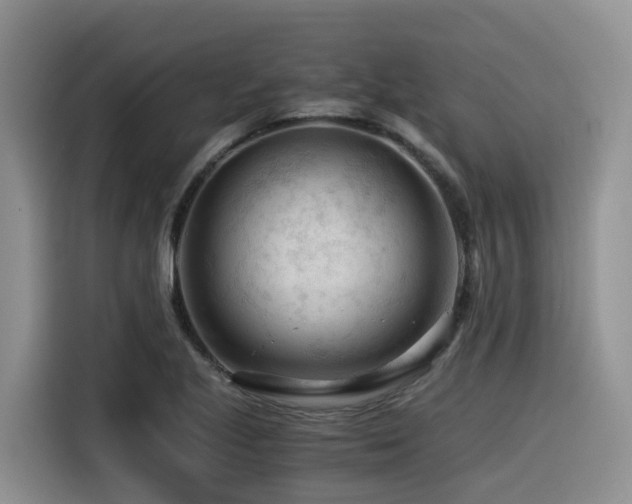 X0000116371221200912021147