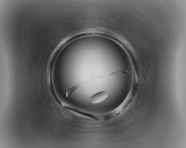X0000116371224200912021147