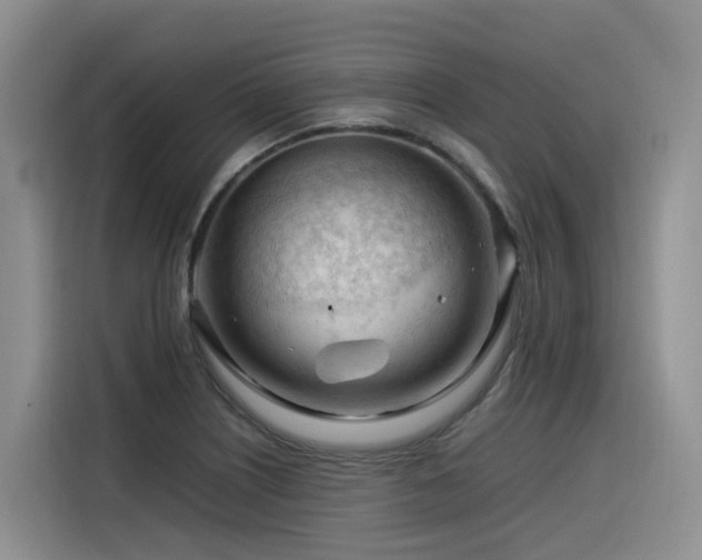 X0000116371226200912021147