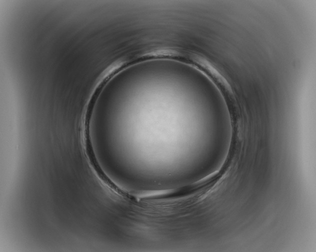 X0000116371229200912021147
