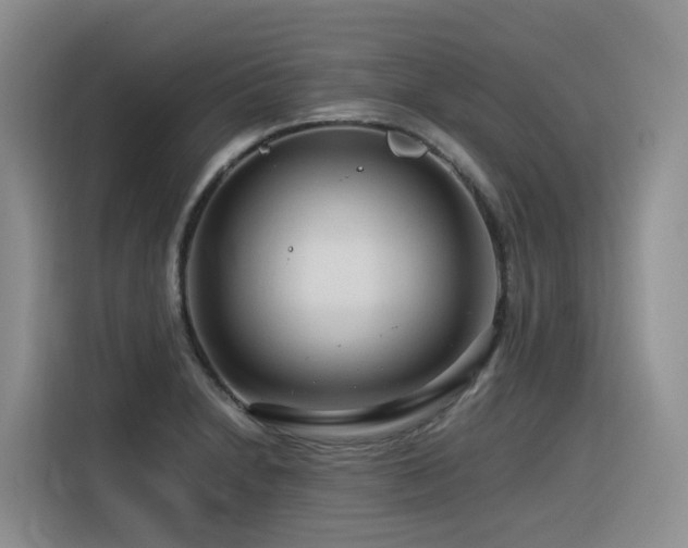 X0000116371230200912021147