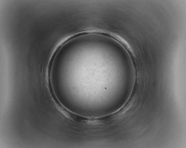 X0000116371231200912021147