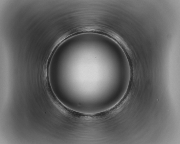 X0000116371234200912021147