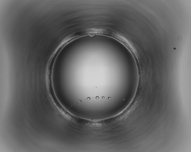 X0000116371235200912021147