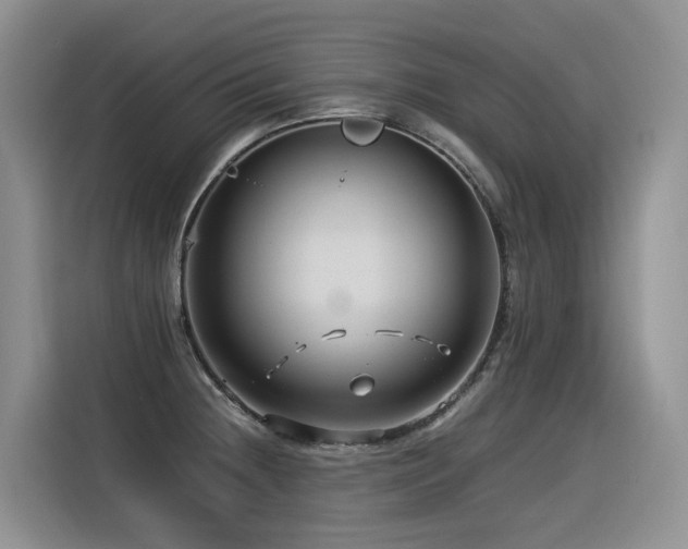 X0000116371236200912021147