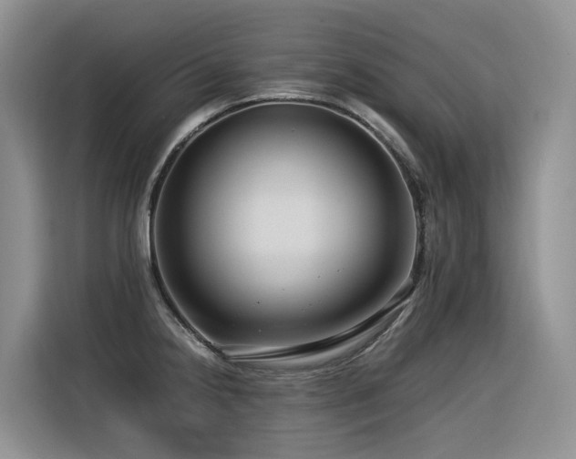 X0000116371238200912021147