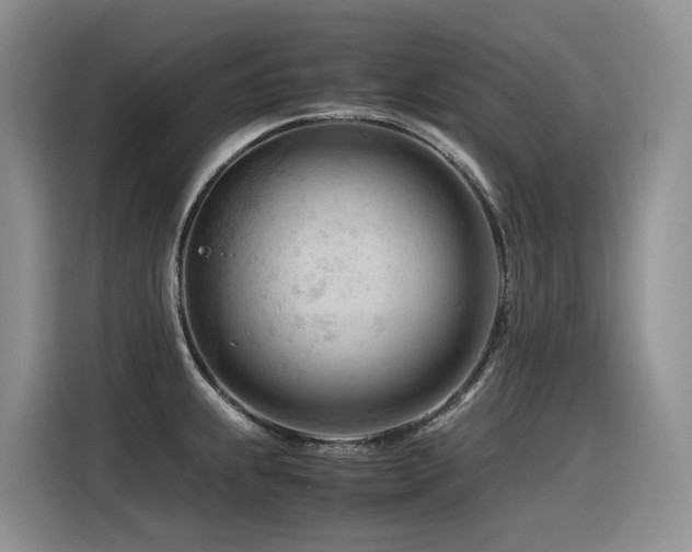 X0000116371239200912021147