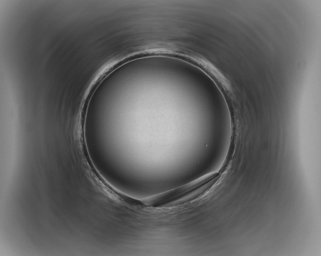X0000116371240200912021147