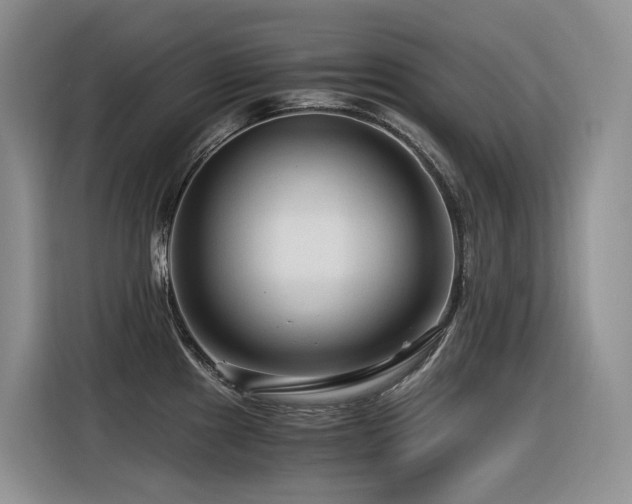 X0000116371241200912021147