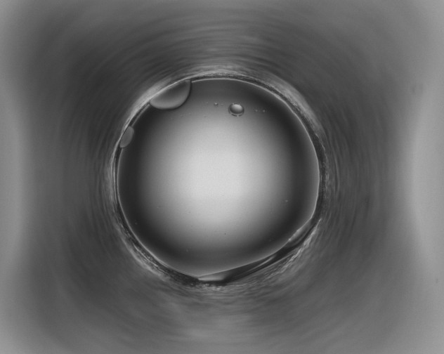 X0000116371242200912021147