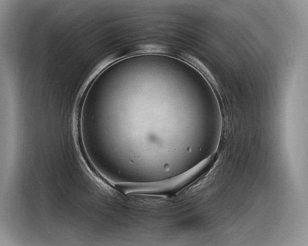 X0000116371243200912021147