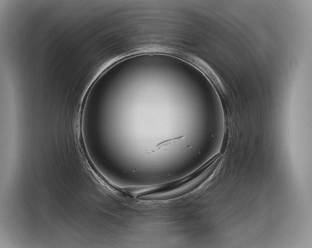 X0000116371244200912021147