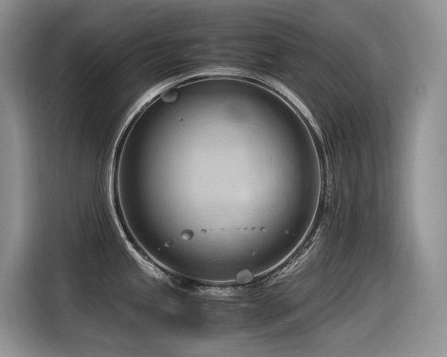 X0000116371245200912021147