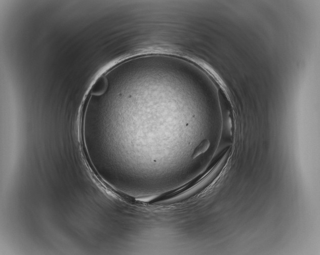 X0000116371246200912021147