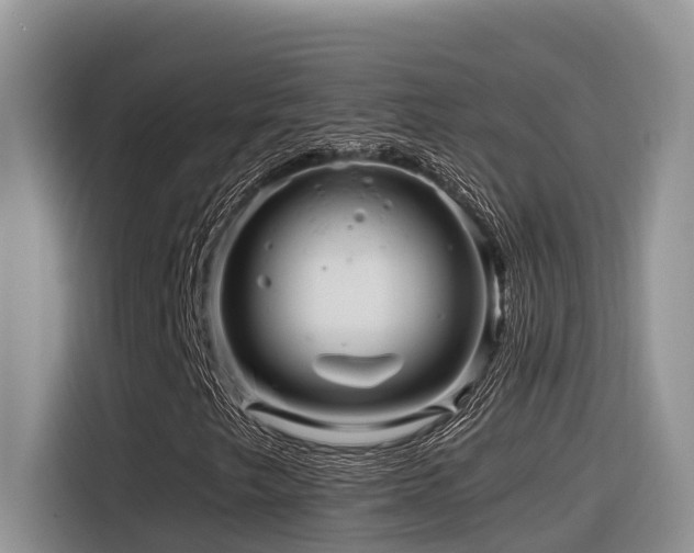 X0000116371249200912021146