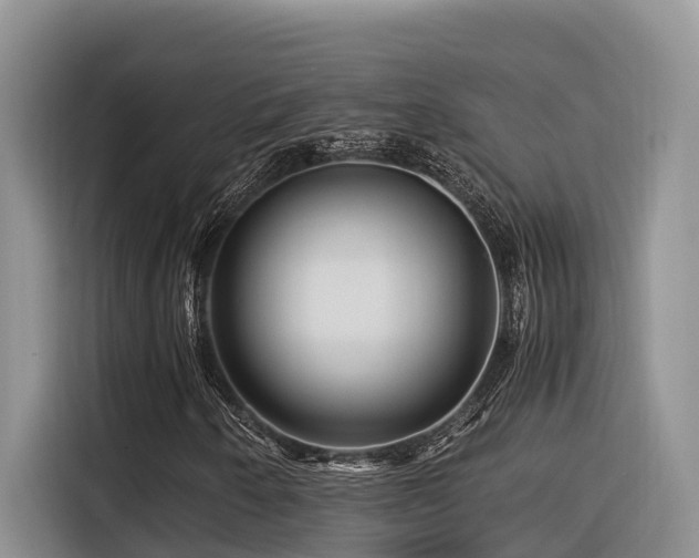 X0000116371250200912021146