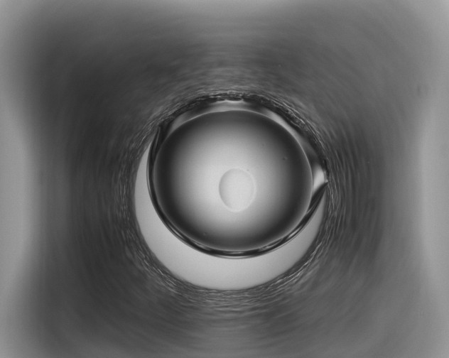 X0000116371252200912021146