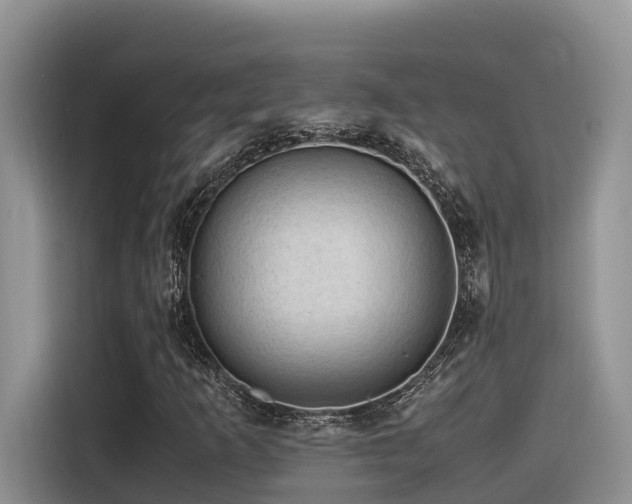 X0000116371253200912021146