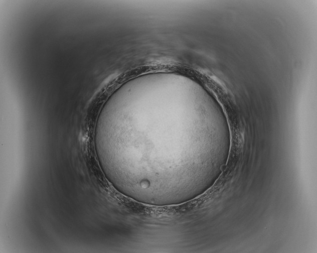 X0000116371254200912021146