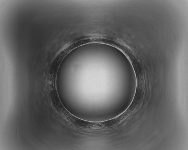 X0000116371255200912021146