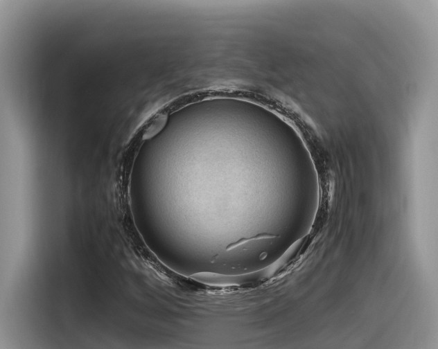 X0000116371256200912021146