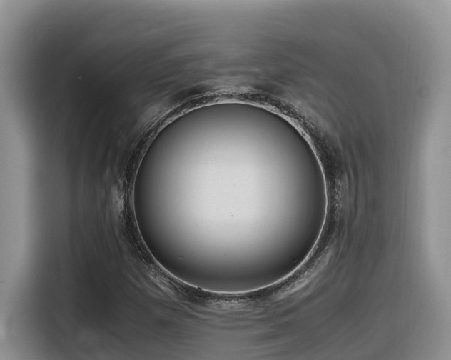 X0000116371257200912021146
