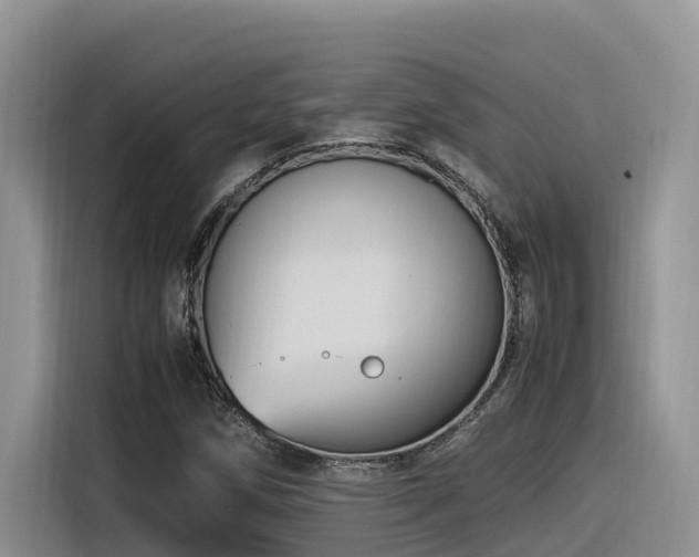 X0000116371258200912021146