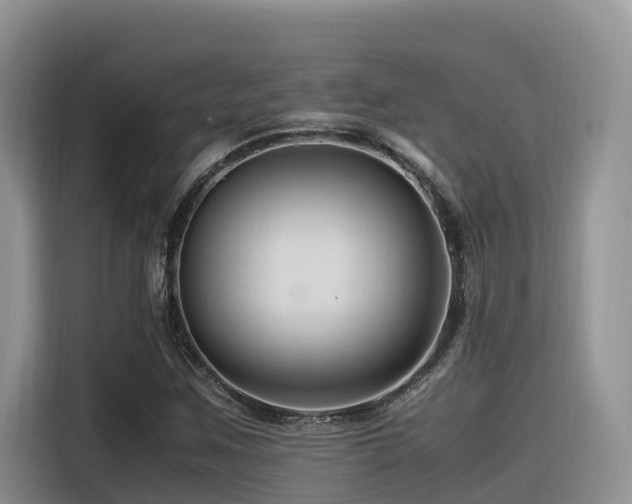 X0000116371259200912021146