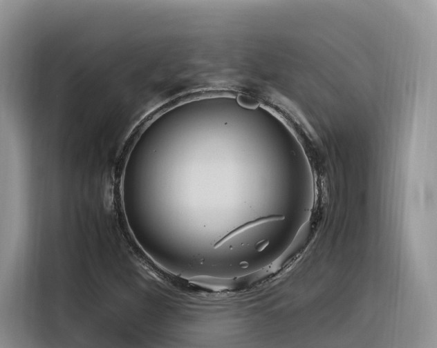 X0000116371260200912021146