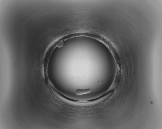X0000116371262200912021146