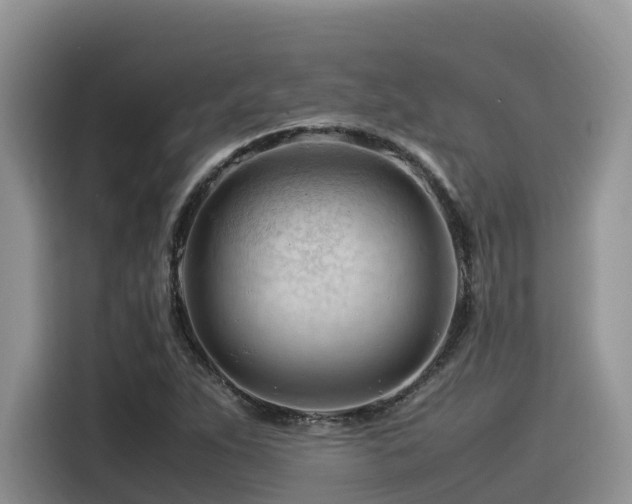 X0000116371263200912021146