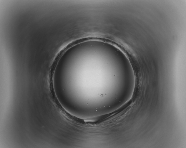 X0000116371264200912021146
