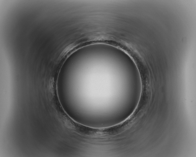 X0000116371265200912021146