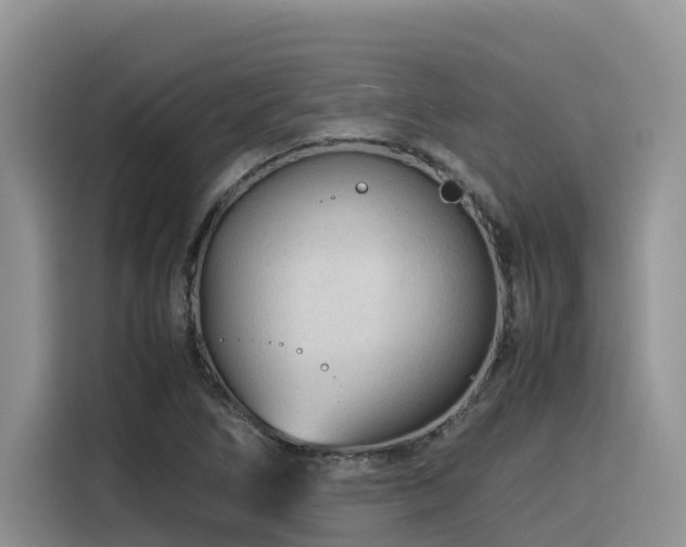 X0000116371266200912021146