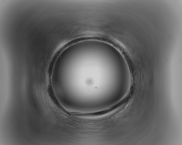 X0000116371267200912021146