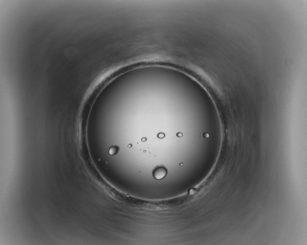 X0000116371270200912021146