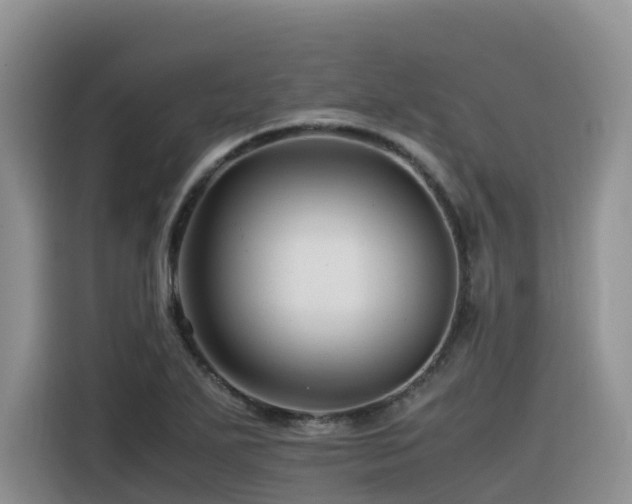 X0000116371271200912021146
