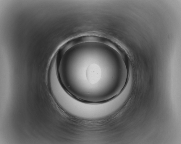 X0000116371272200912021146