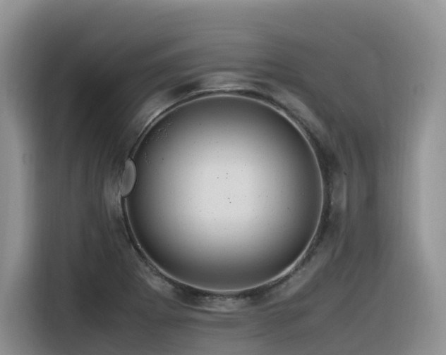 X0000116371273200912021146