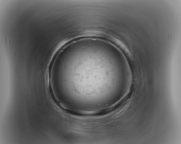 X0000116371275200912021146