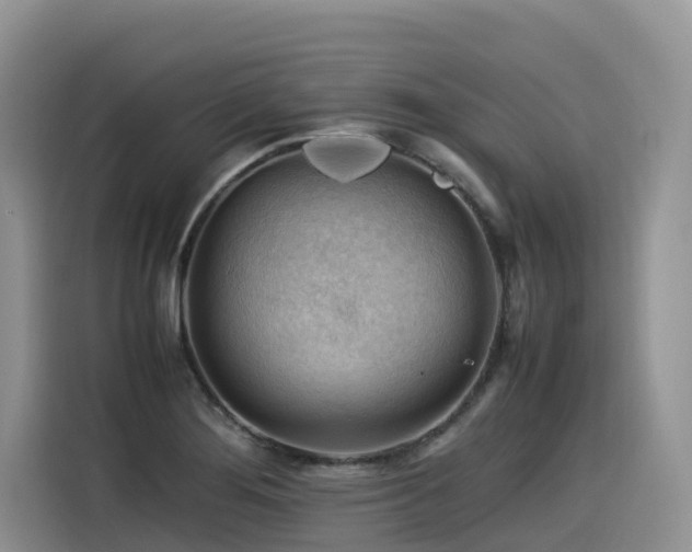 X0000116371276200912021146